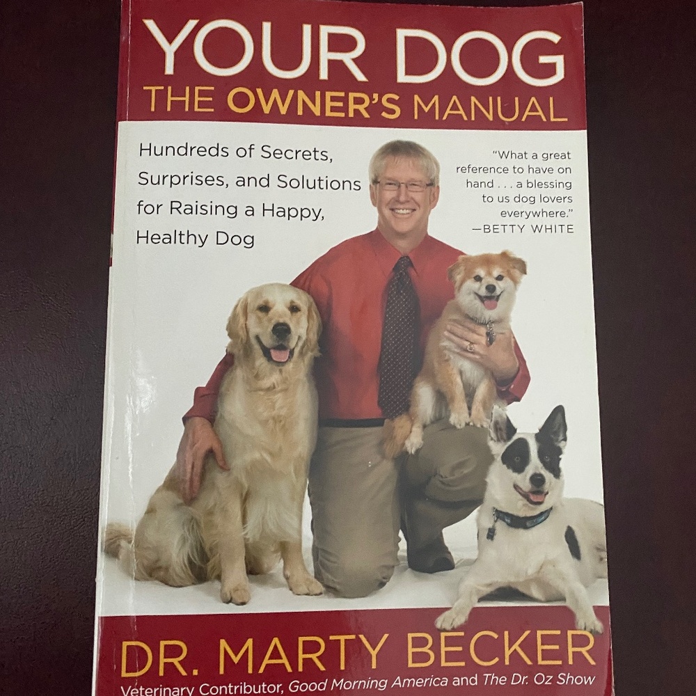 Your Dog Paperback Book